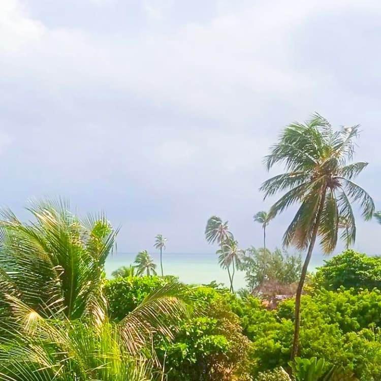 Wind Villa Cumbuco - Apartamento Экстерьер фото